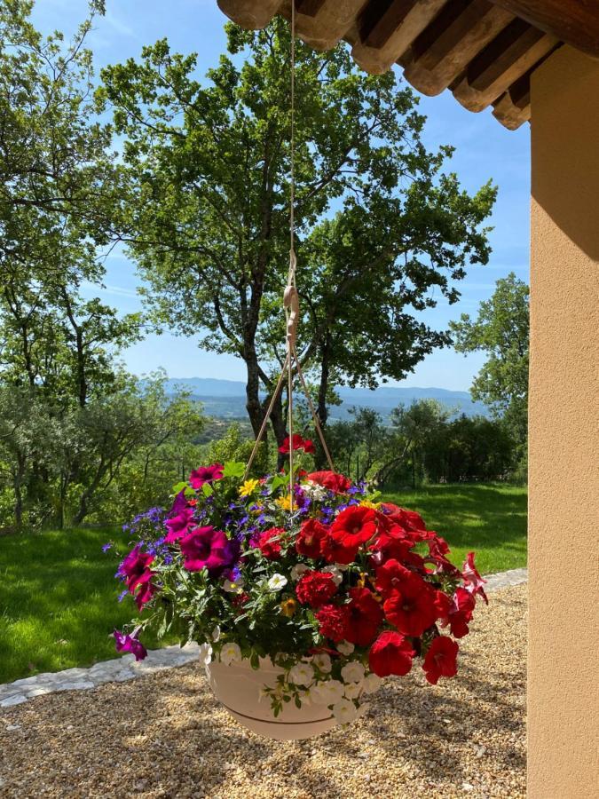 Chante Coucou Saint-Saturnin-d'Apt Exterior foto